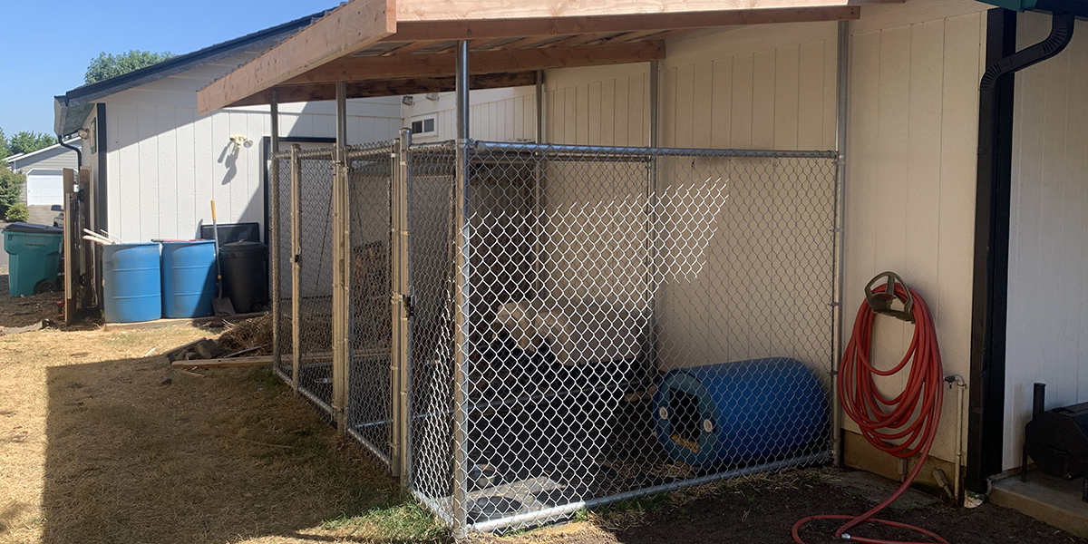 Groundhog Fence
