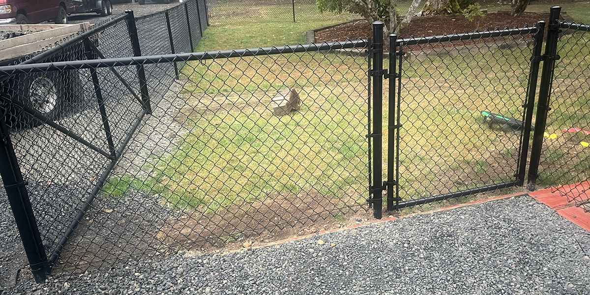 Groundhog Fence, Chain Link Fence, 