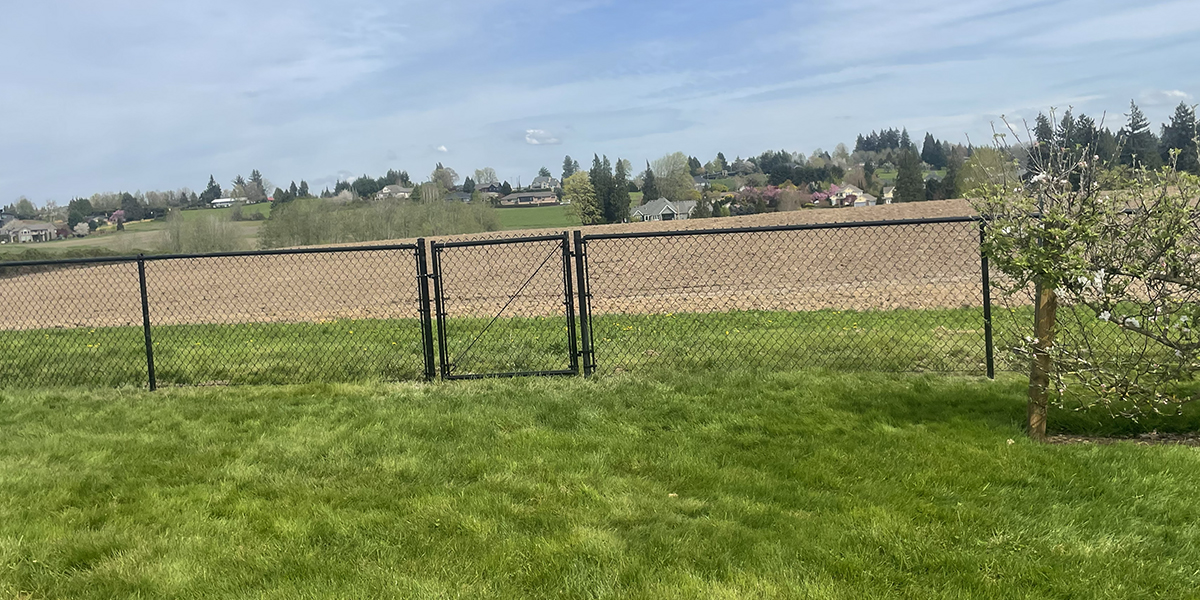 Groundhog Fence, Chain Link Fence
