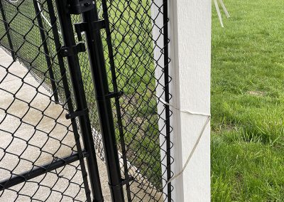 Groundhog Fence, Chain Link Fence