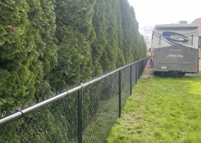 Groundhog Fence, Chain Link Fence, Chain Link Fence Installation