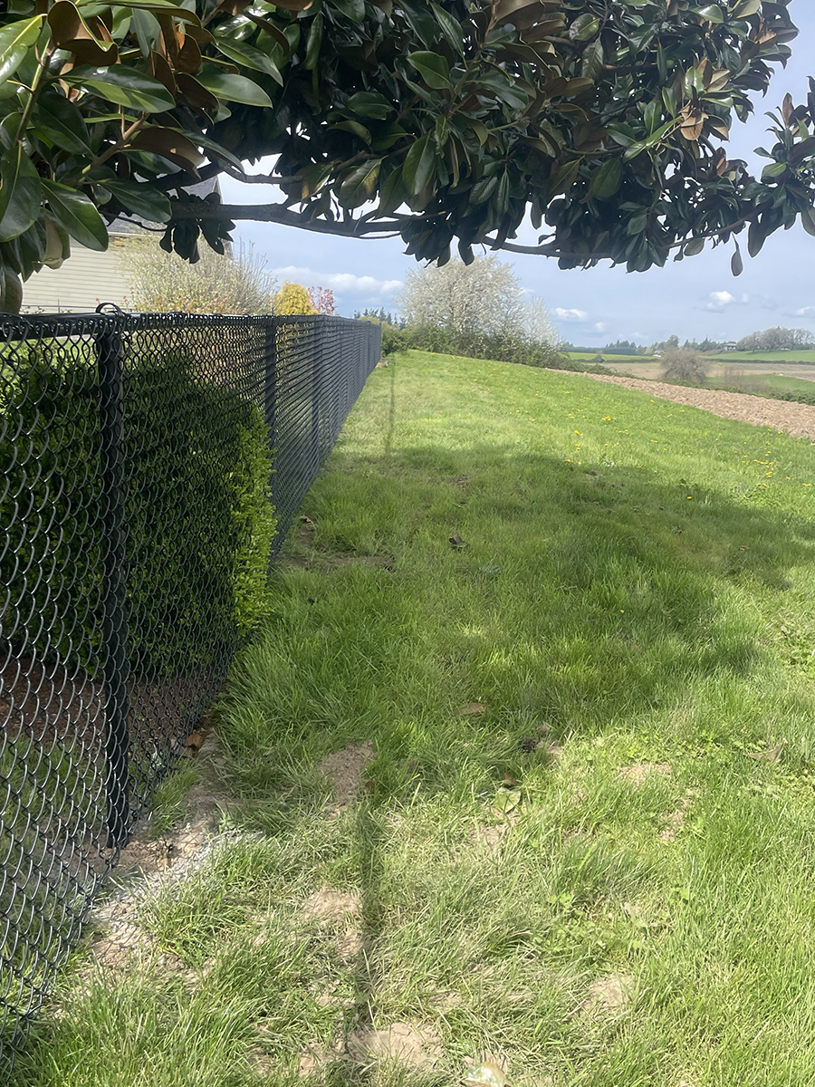 Groundhog Fence, Chain Link Fence