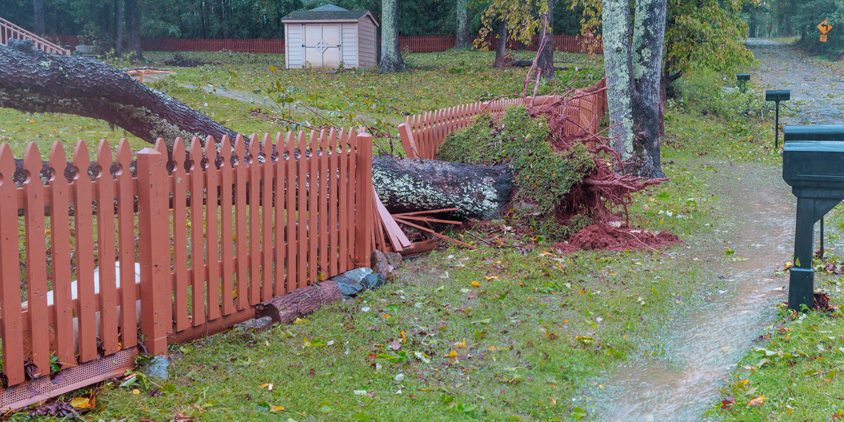 Groundhog Fence, Fence Repair, Damaged Fence, Fence Contractor, Fence Builder