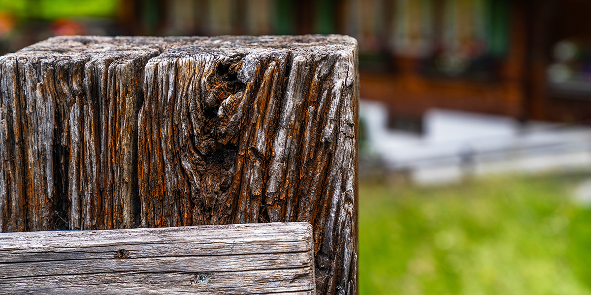 Groundhog Fence, Fence Replacement, Fence Repair