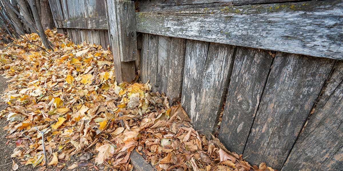 Groundhog Fence, Fence Replacement, Fence Repair, New Fence