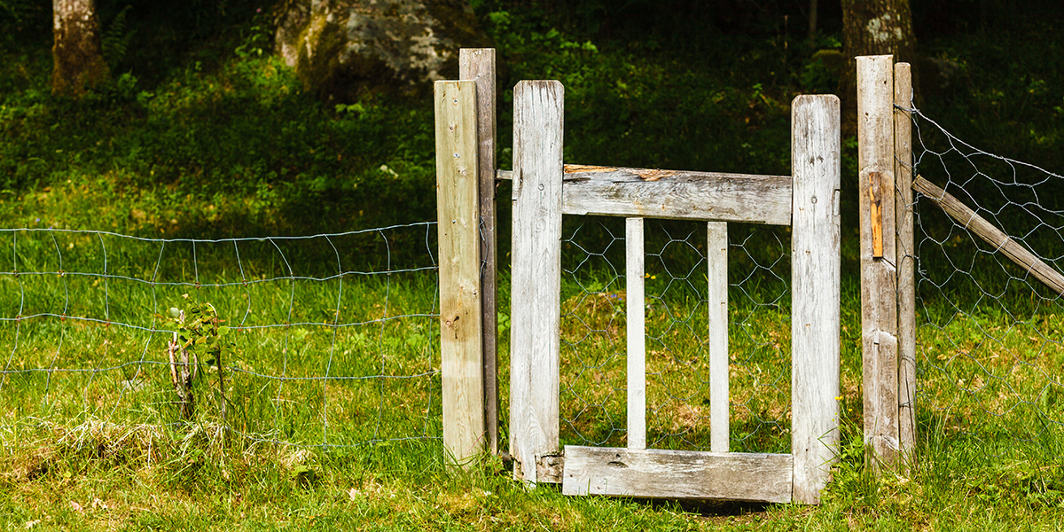 Groundhog Fence, Fence replacement, Fence Repair, Gate Repair, Gate Replacement, New Fence